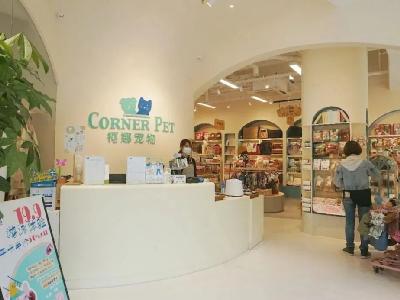 中國國際寵物水族用品展覽會 最新動態(tài)與專業(yè)服務全面解讀