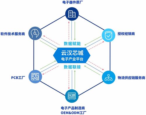 云漢芯城 驅(qū)動(dòng)上海互聯(lián)網(wǎng)數(shù)據(jù)服務(wù)創(chuàng)新，賦能電子產(chǎn)業(yè)數(shù)字化轉(zhuǎn)型